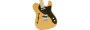 Hybrid II Telecaster Thinline Limited Run Gold Top3
